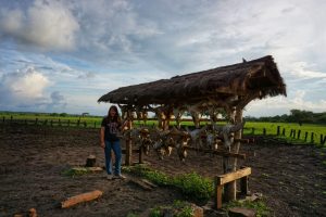 Paket Wisata Baluran