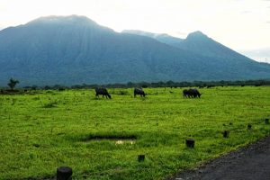 Paket Wisata Baluran